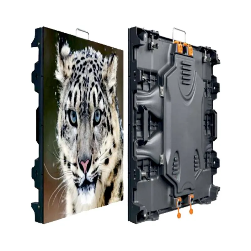 Indoor LED cabinet, front with a leopard image and rear with locks and handles
