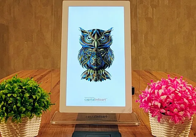 Installation at Table Top Display Owl